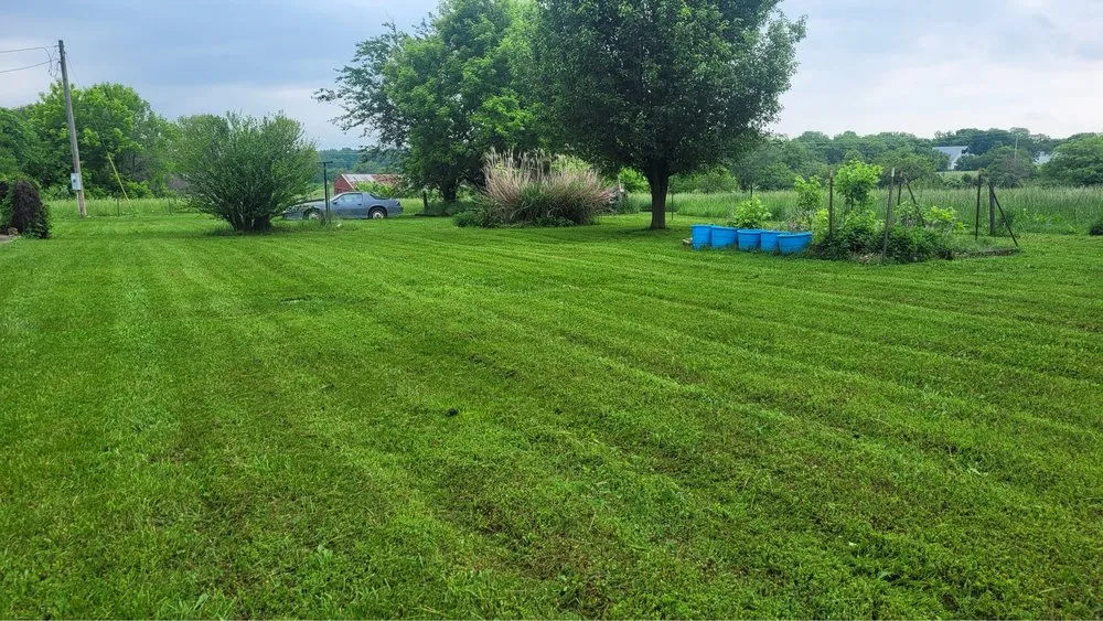 Local yard cleanup service for year-round maintenance in Springfield, MO by Mow & Go Solutions