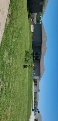 Mow & Go Solutions Logo