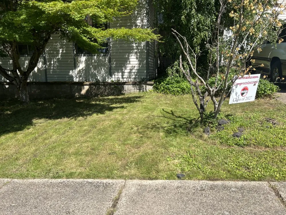 Trusted landscape installation in Springfield, OR by Mow & Go