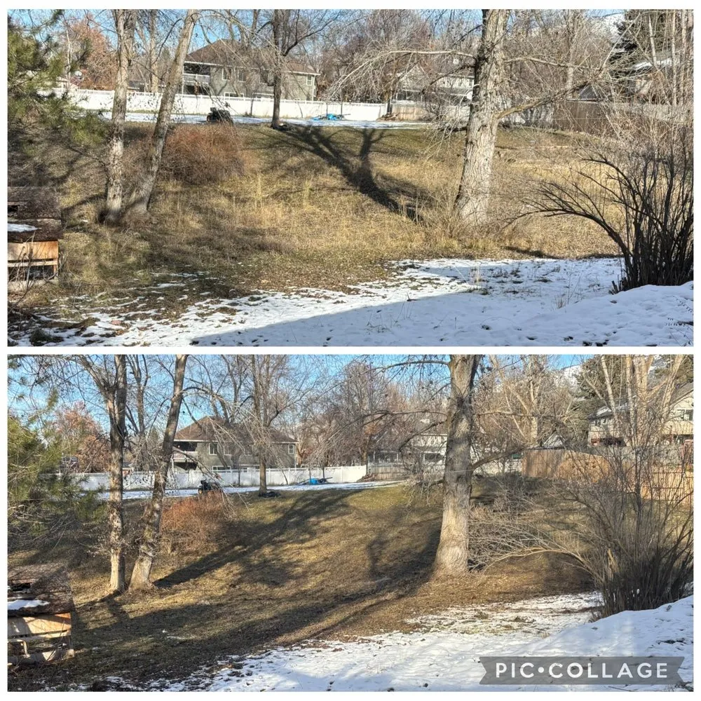 Local yard maintenance in Hyde Park, UT by Mow & Go Tractor Co