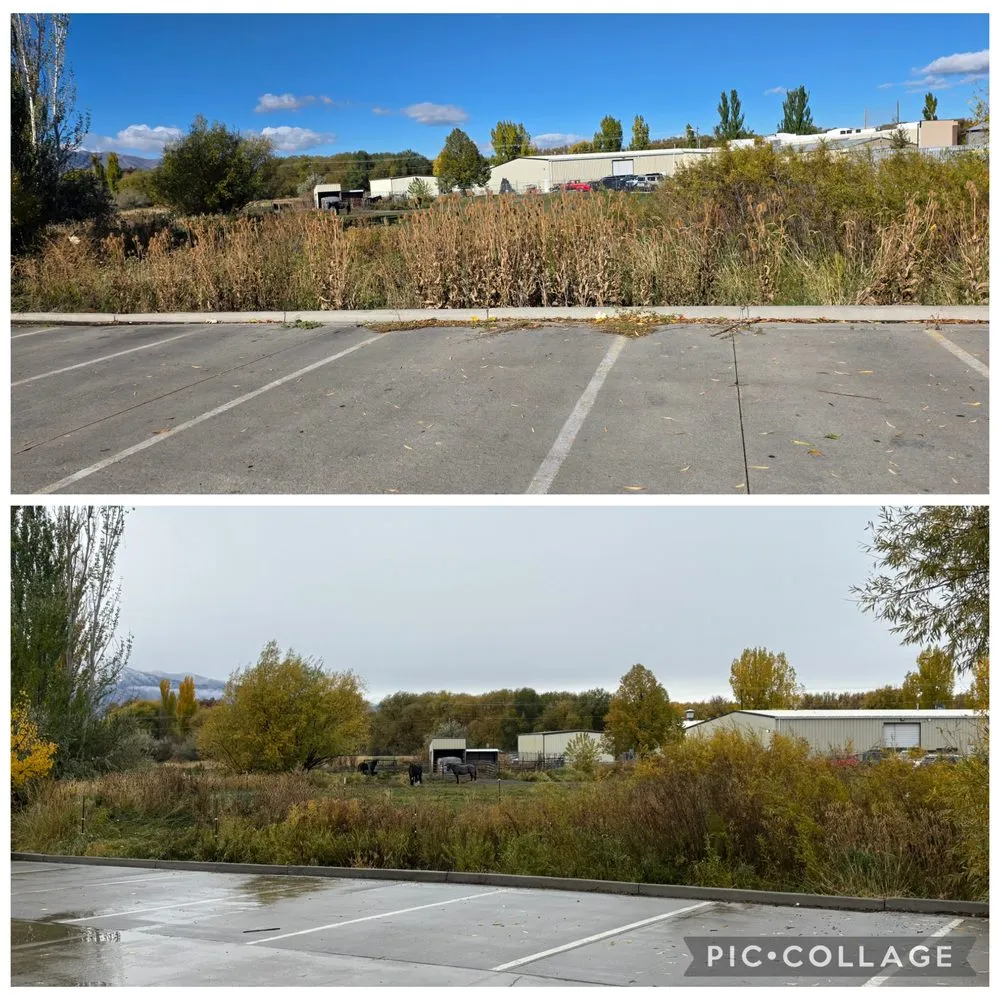 Trusted landscape design experts serving Hyde Park, UT - Mow & Go Tractor Co