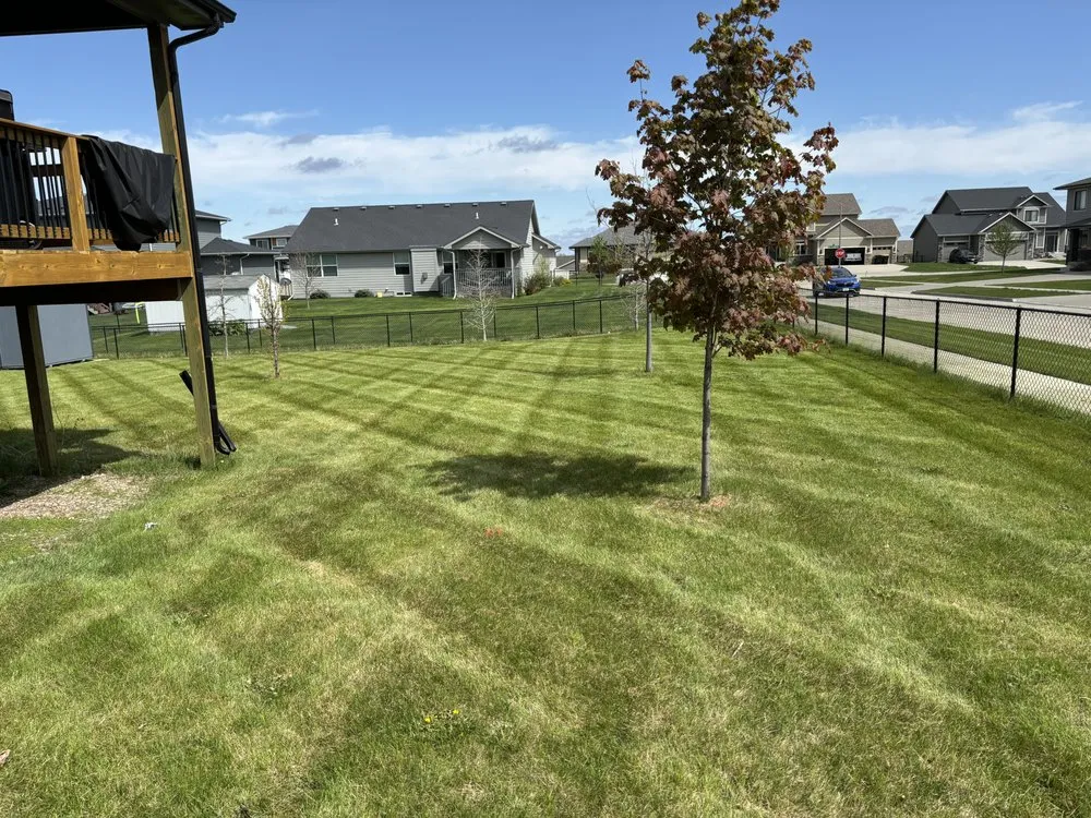 Trusted yard cleanup service for beautiful yards across West Des Moines, IA - Mow & go