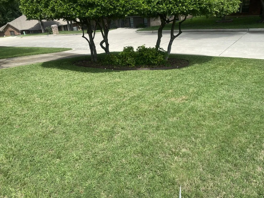 Expert residential landscaping in Arlington, TX by Mow & Grow Lawncare