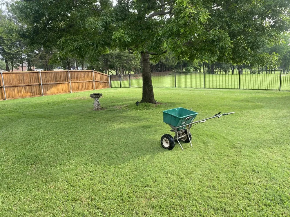 Top-rated yard cleanup service in Arlington, TX by Mow & Grow Lawncare