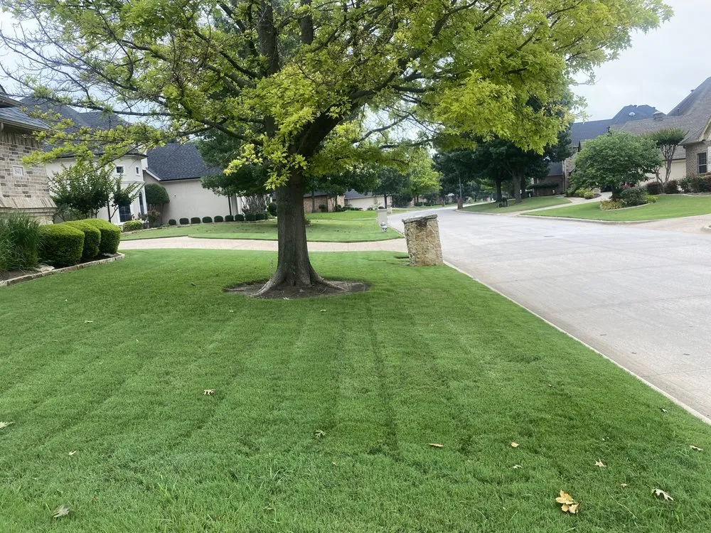 Trusted lawn mowing service experts serving Arlington, TX - Mow & Grow Lawncare