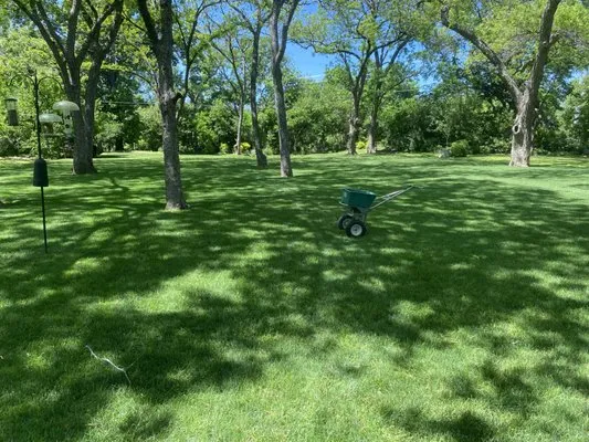 Mow & Grow Lawncare Logo