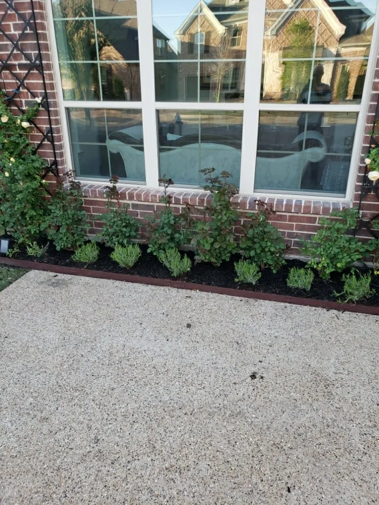 Expert landscape installation experts serving The Colony, TX - Mow & More Landscapes