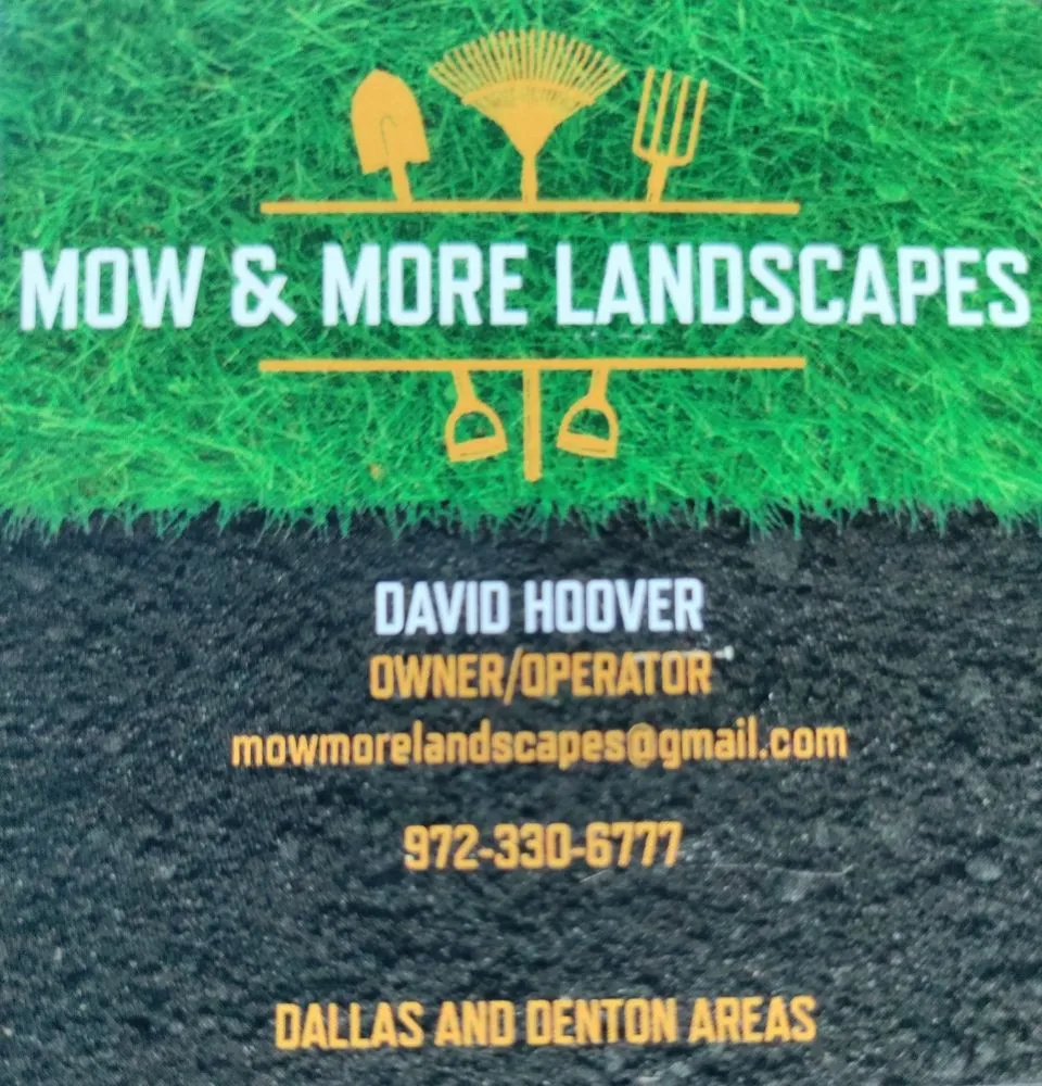 Expert yard cleanup service with custom design across The Colony, TX - Mow & More Landscapes