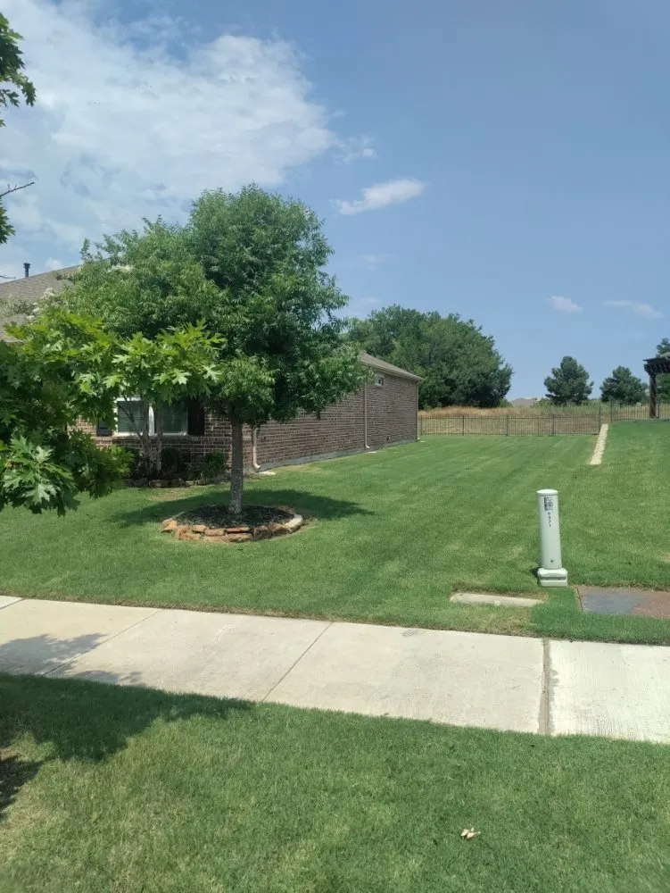 Professional yard cleanup service experts serving The Colony, TX - Mow & More Landscapes