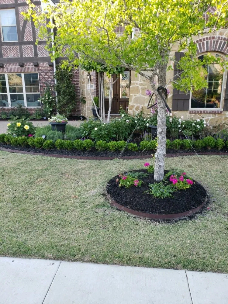 Reliable outdoor landscaping for outdoor upgrades across The Colony, TX - Mow & More Landscapes