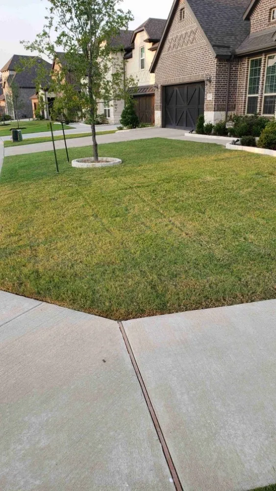 Affordable garden landscaping for year-round maintenance across The Colony, TX - Mow & More Landscapes