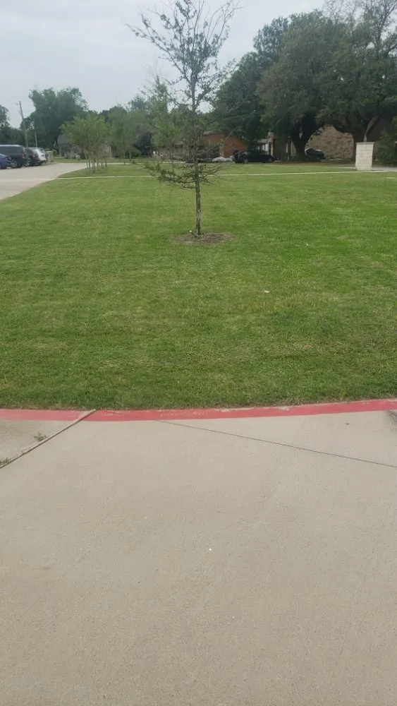 Professional landscape installation in The Colony, TX - Mow & More Landscapes