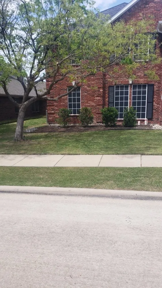 Professional residential landscaping in The Colony, TX - Mow & More Landscapes