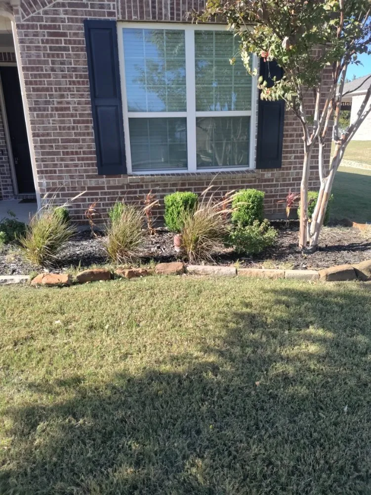 Expert landscape design in The Colony, TX - Mow & More Landscapes