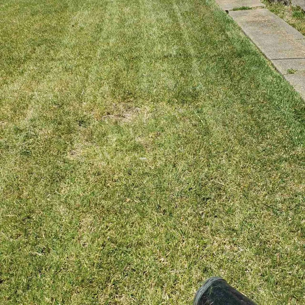 Custom landscape installation in The Colony, TX by Mow & More Landscapes