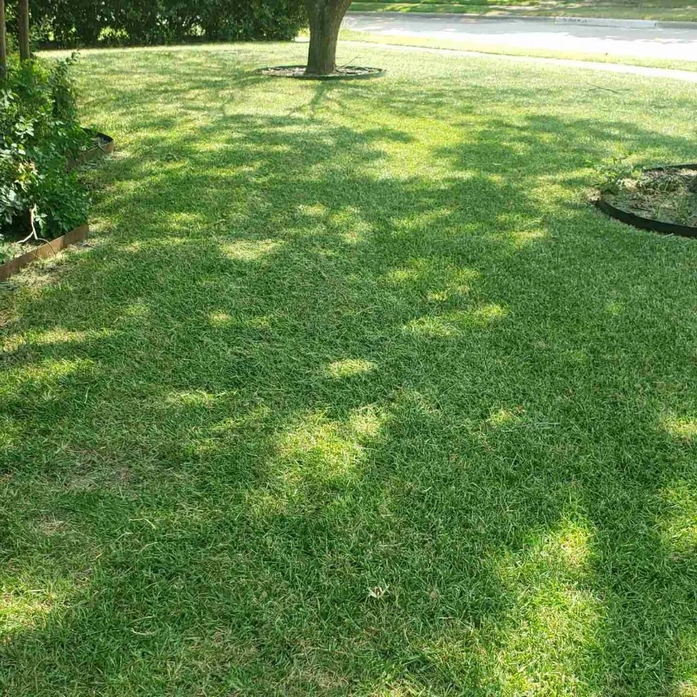 Reliable landscape design experts serving The Colony, TX - Mow & More Landscapes