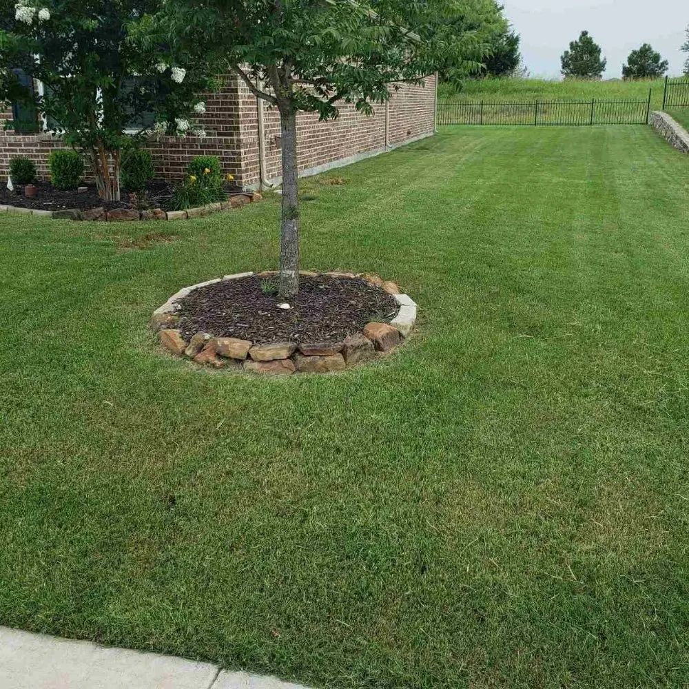 Affordable lawn mowing service for beautiful yards across The Colony, TX - Mow & More Landscapes
