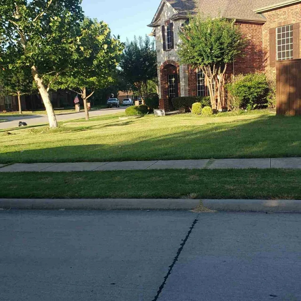 Local outdoor landscaping in The Colony, TX - Mow & More Landscapes