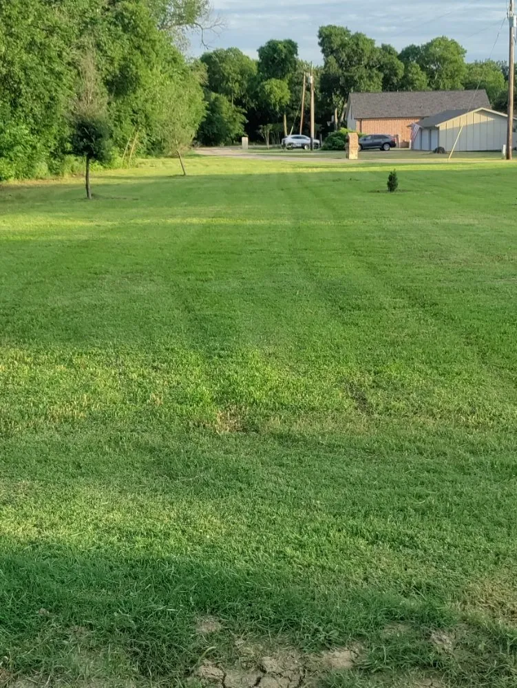 Affordable landscape installation experts serving The Colony, TX - Mow & More Landscapes