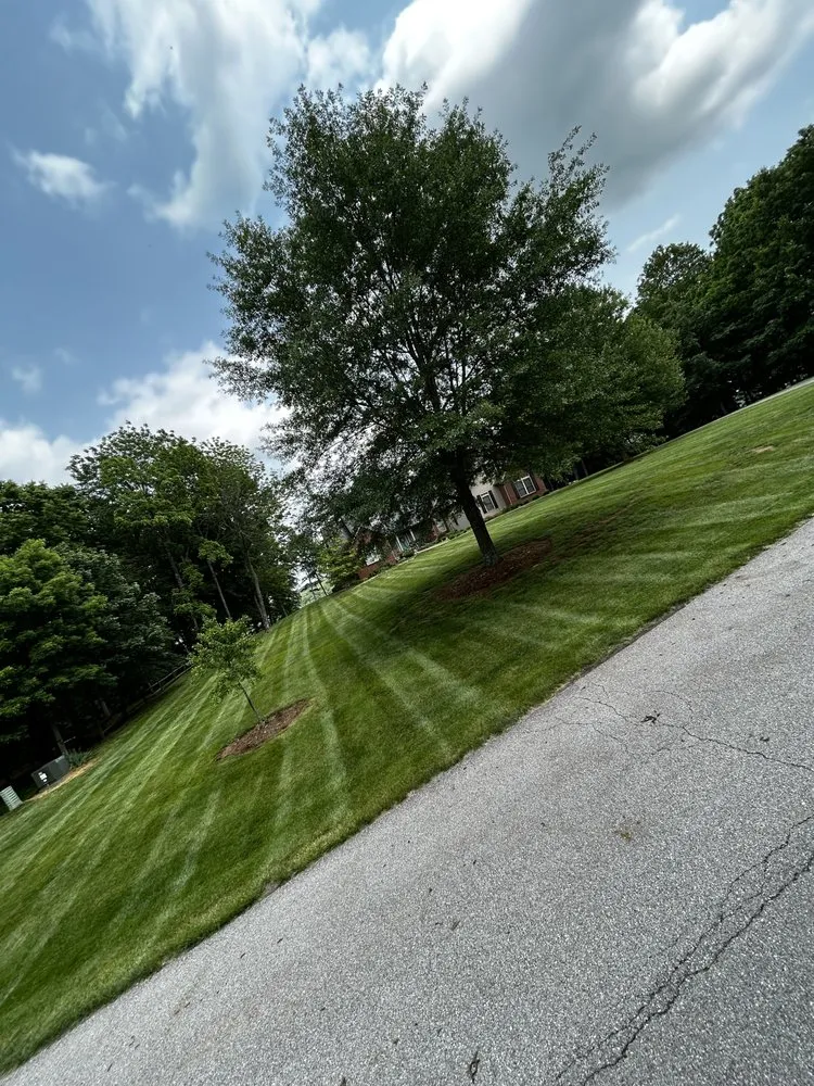Expert yard maintenance in Frankfort, KY by Mow -Tivation Lawn Care