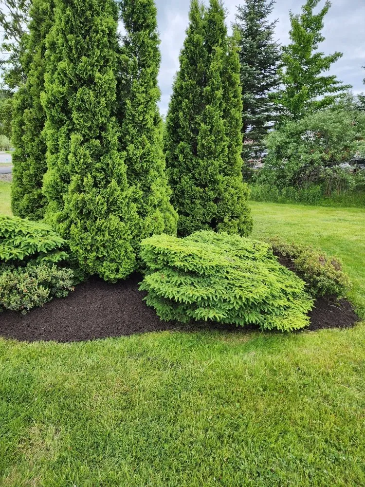 Professional landscape installation experts serving Sanford, ME - Mow 2 Snow