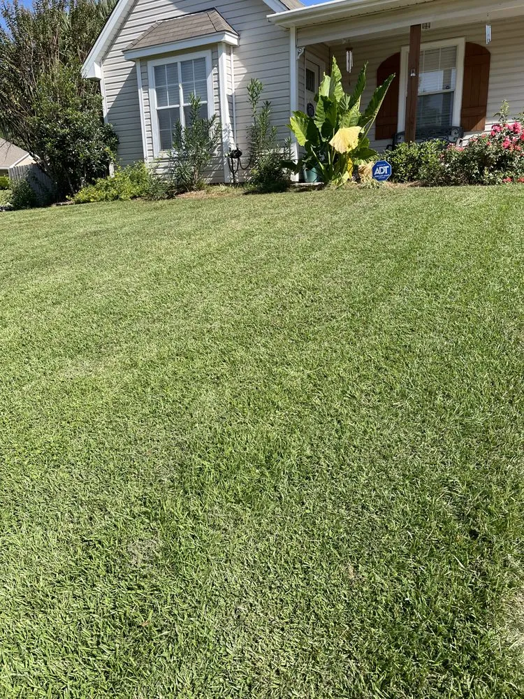 Trusted lawn care service in Jackson, MS - Mow 4 Mitsy & Lawn Services