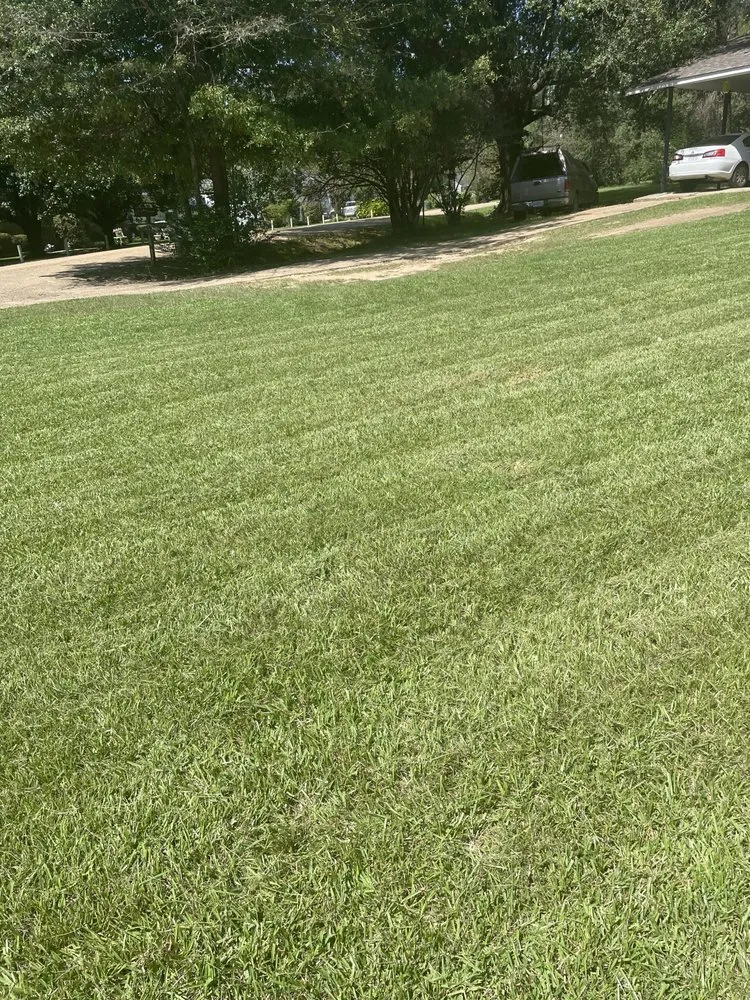 Professional landscaping services in Jackson, MS - Mow 4 Mitsy & Lawn Services