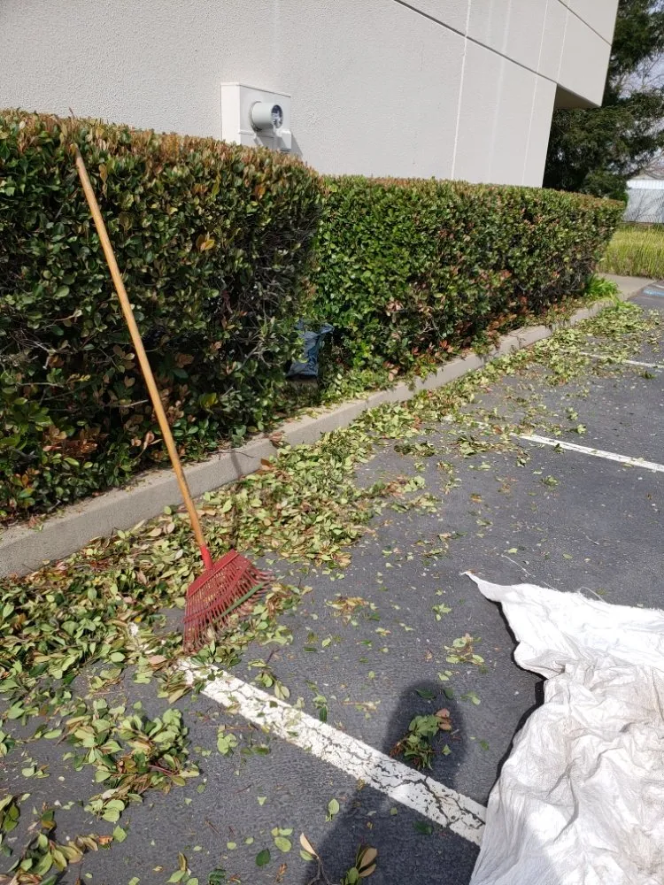 Trusted outdoor landscaping with custom design across Sacramento, CA - Mow Ability