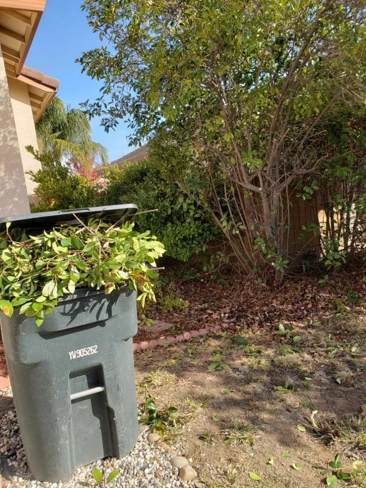 Custom landscape design for residential properties in Sacramento, CA by Mow Ability