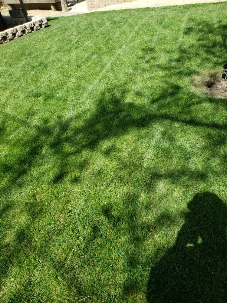 Custom yard maintenance with custom design in Sacramento, CA by Mow Ability