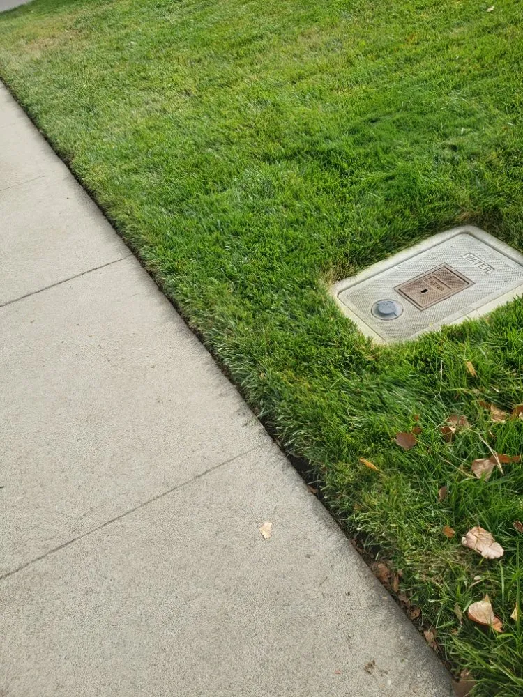 Reliable yard cleanup service in Sacramento, CA - Mow Ability