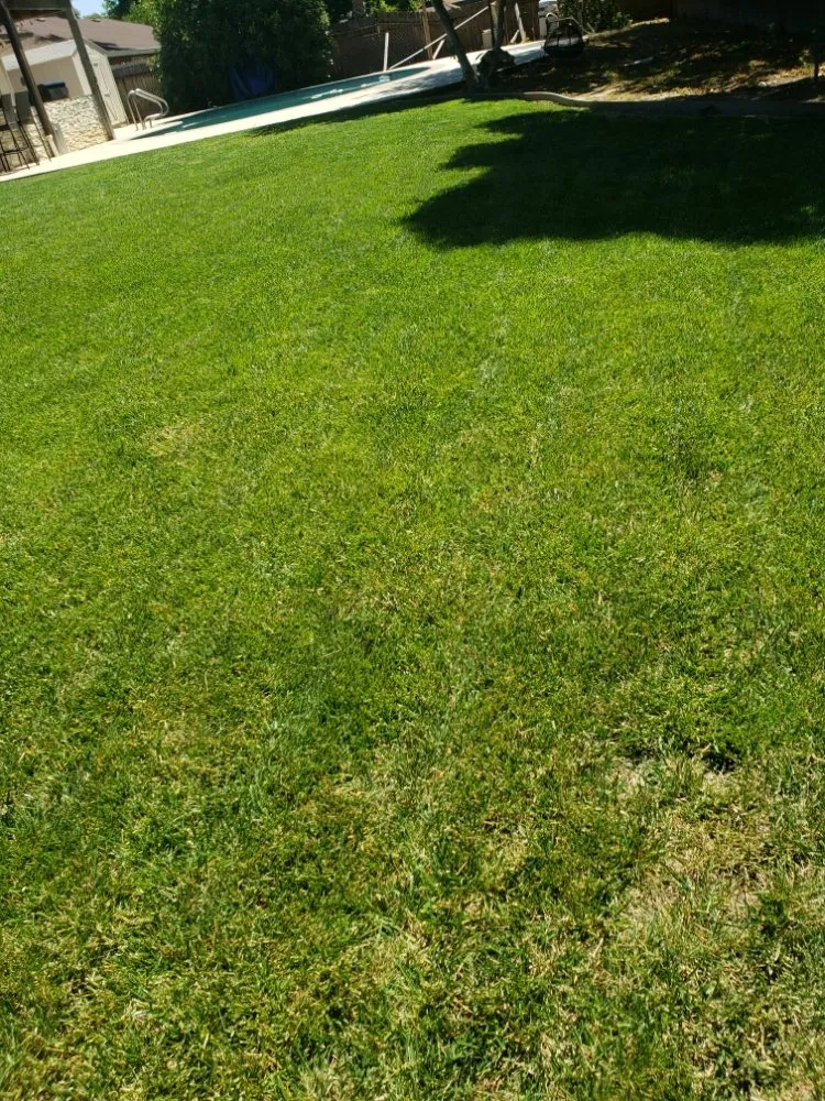 Top-rated garden landscaping in Sacramento, CA - Mow Ability