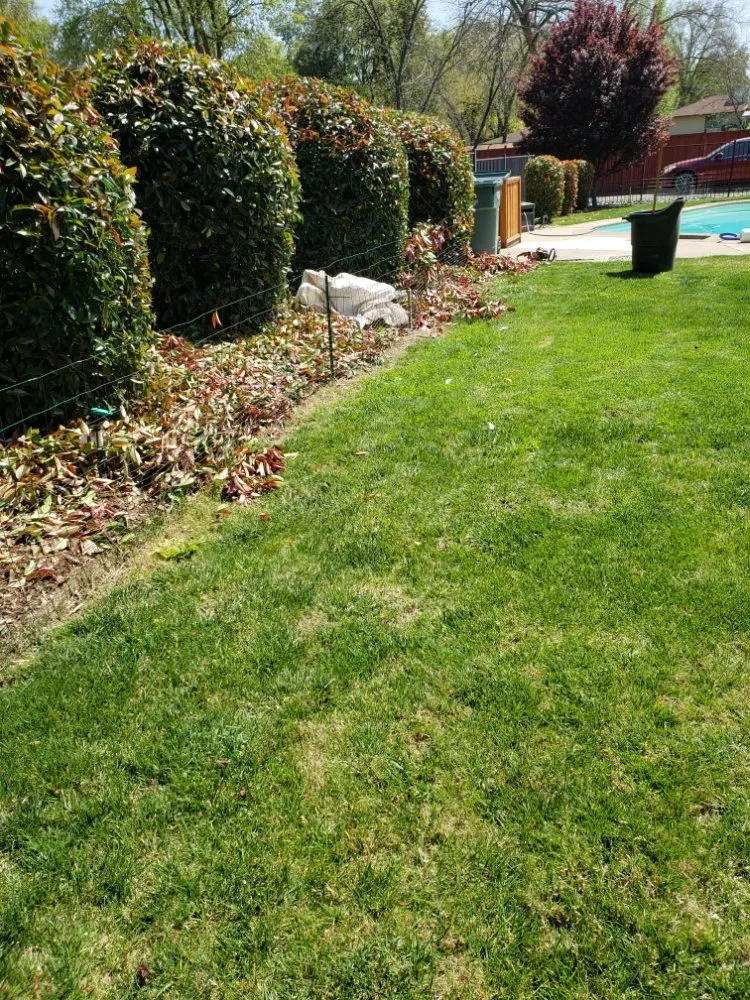 Trusted yard maintenance experts serving Sacramento, CA - Mow Ability
