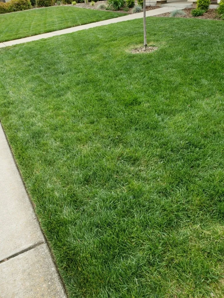 Reliable lawn mowing service for residential properties in Sacramento, CA by Mow Ability
