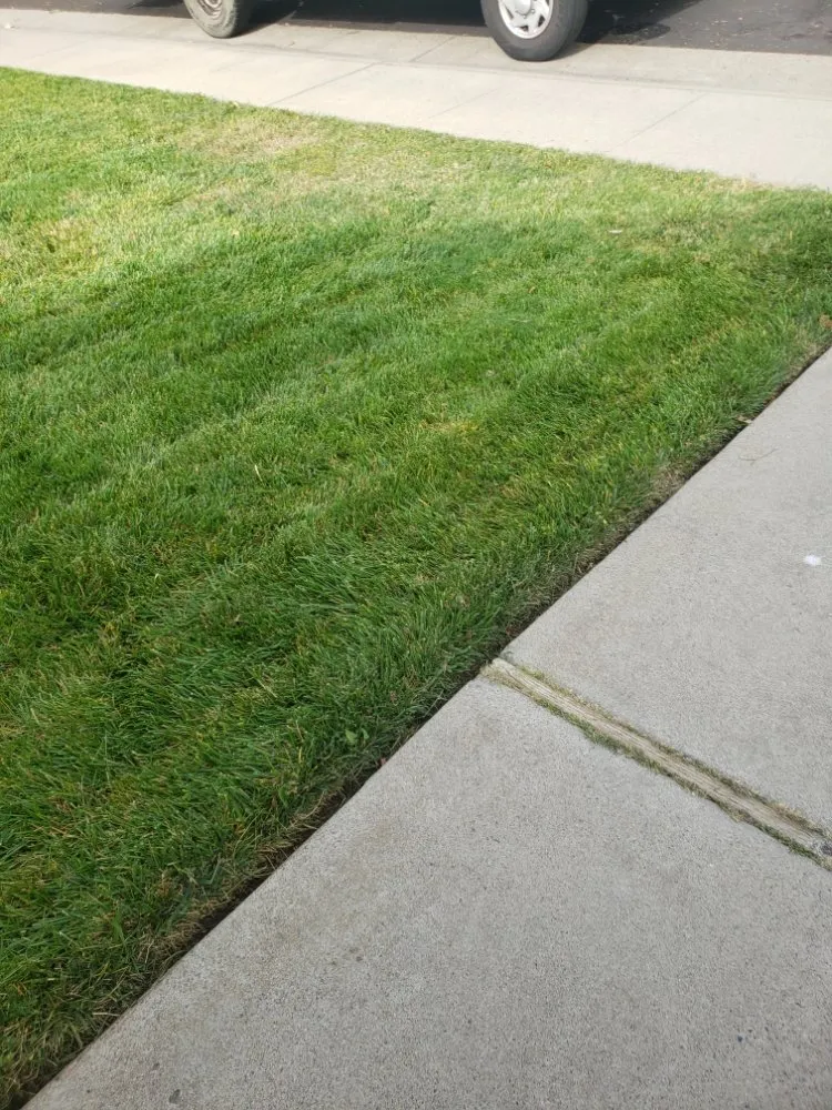 Top-rated landscape design in Sacramento, CA by Mow Ability