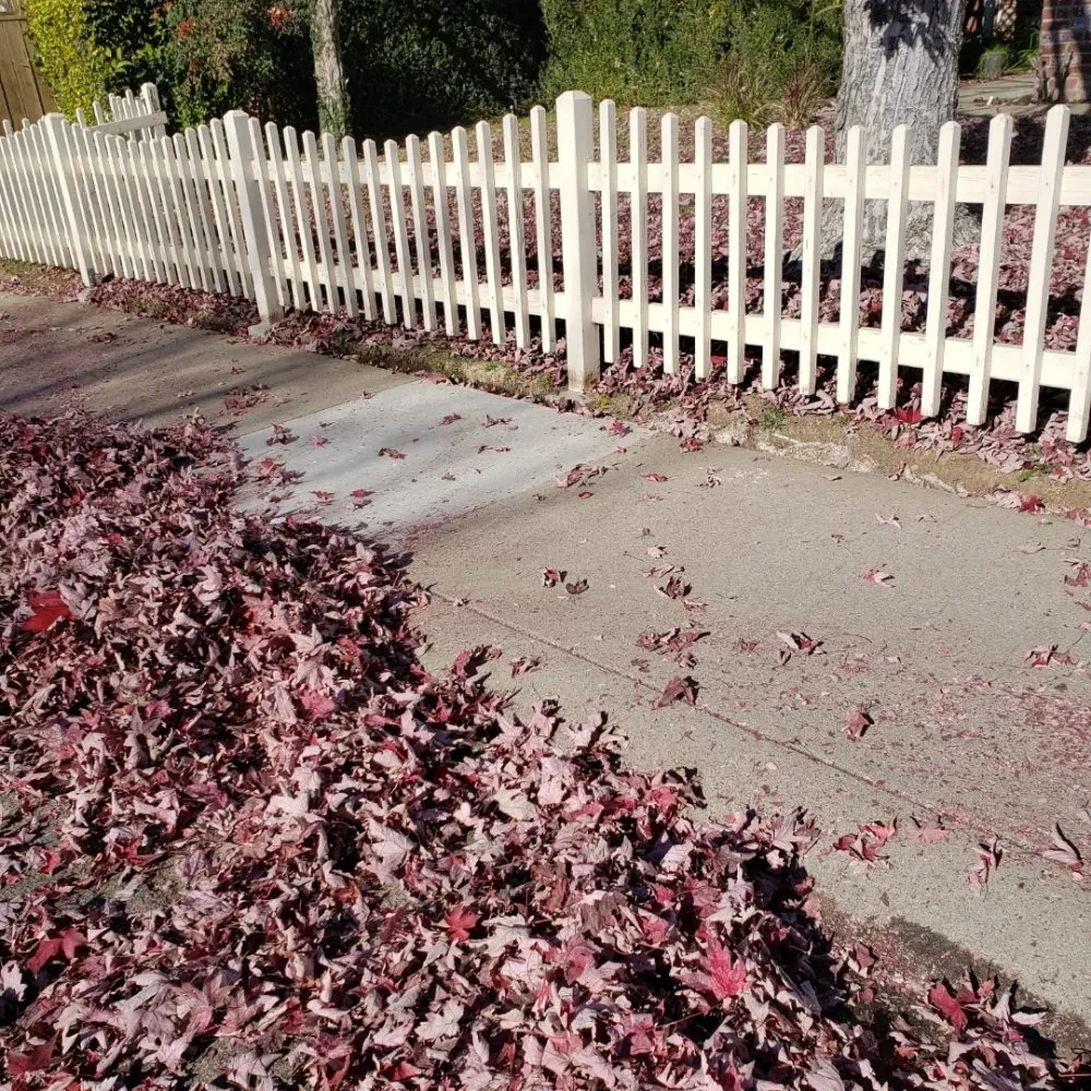 Top-rated residential landscaping experts serving Sacramento, CA - Mow Ability