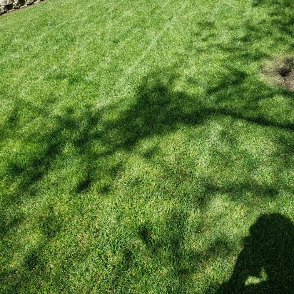 Professional garden landscaping experts serving Sacramento, CA - Mow Ability