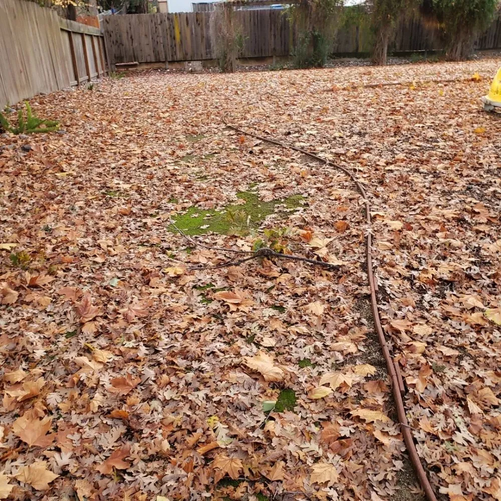 Top-rated landscaping services for residential properties in Sacramento, CA by Mow Ability