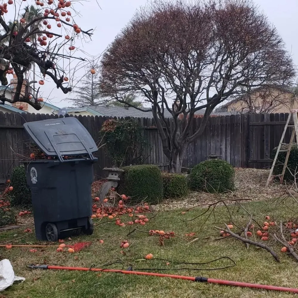 Expert residential landscaping in Sacramento, CA - Mow Ability