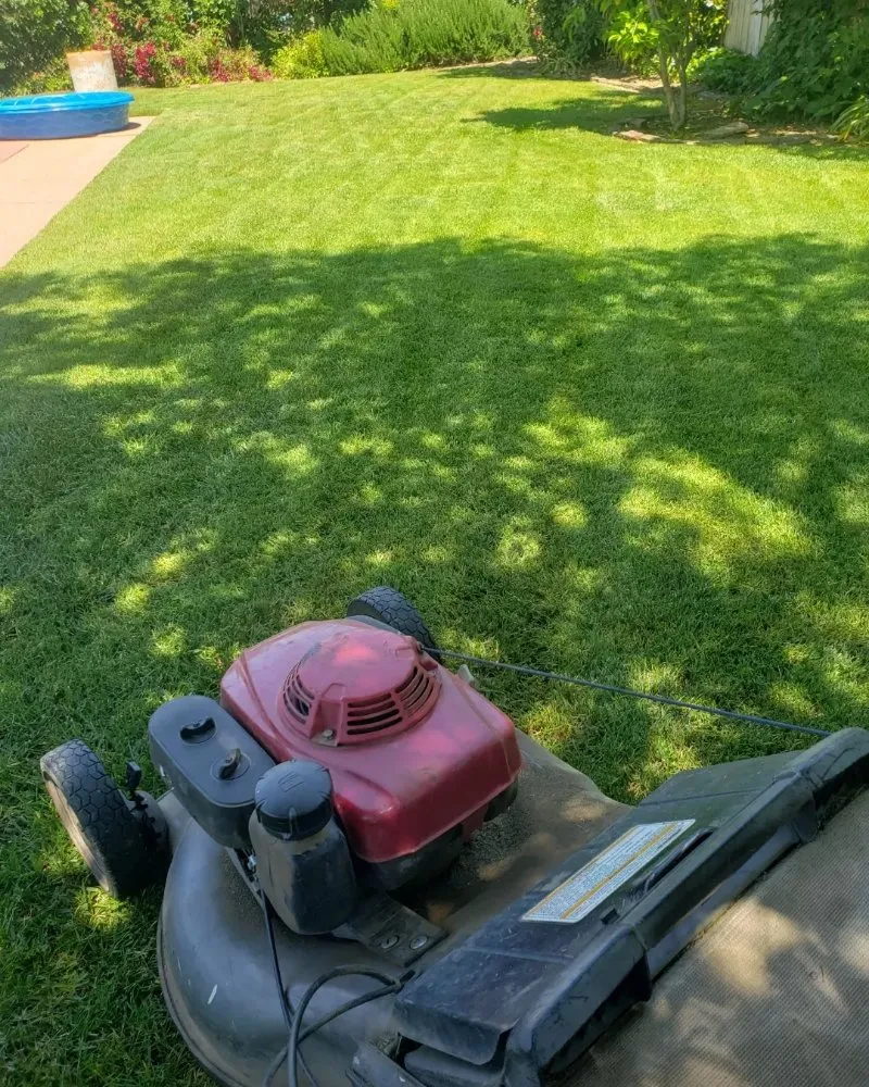 Custom landscape installation in Sacramento, CA by Mow Ability