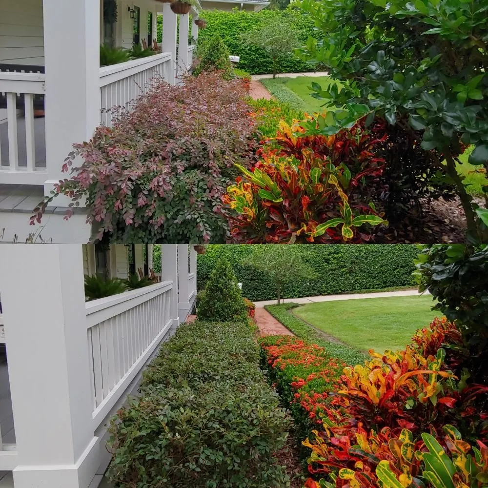 Local yard maintenance for homes in Orlando, FL by Mow and Behold