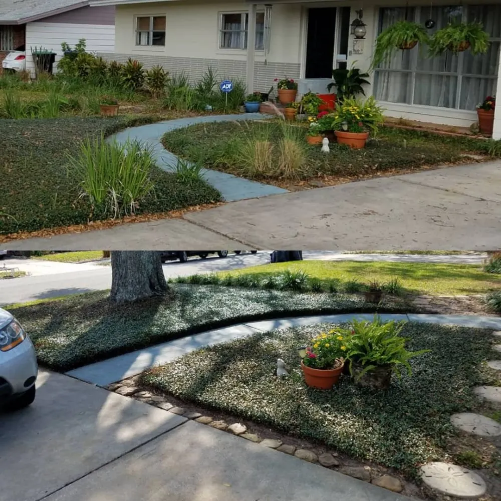 Expert landscape design with custom design across Orlando, FL - Mow and Behold