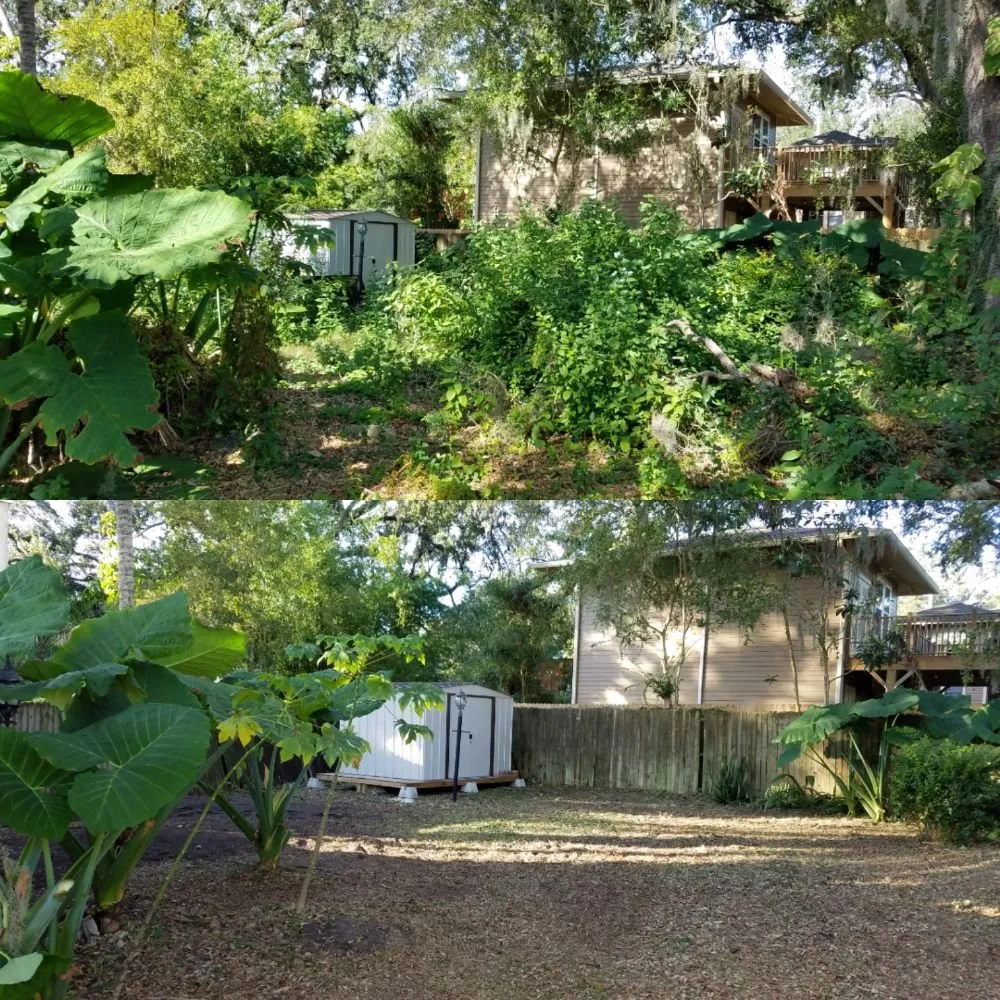 Expert yard maintenance experts serving Orlando, FL - Mow and Behold