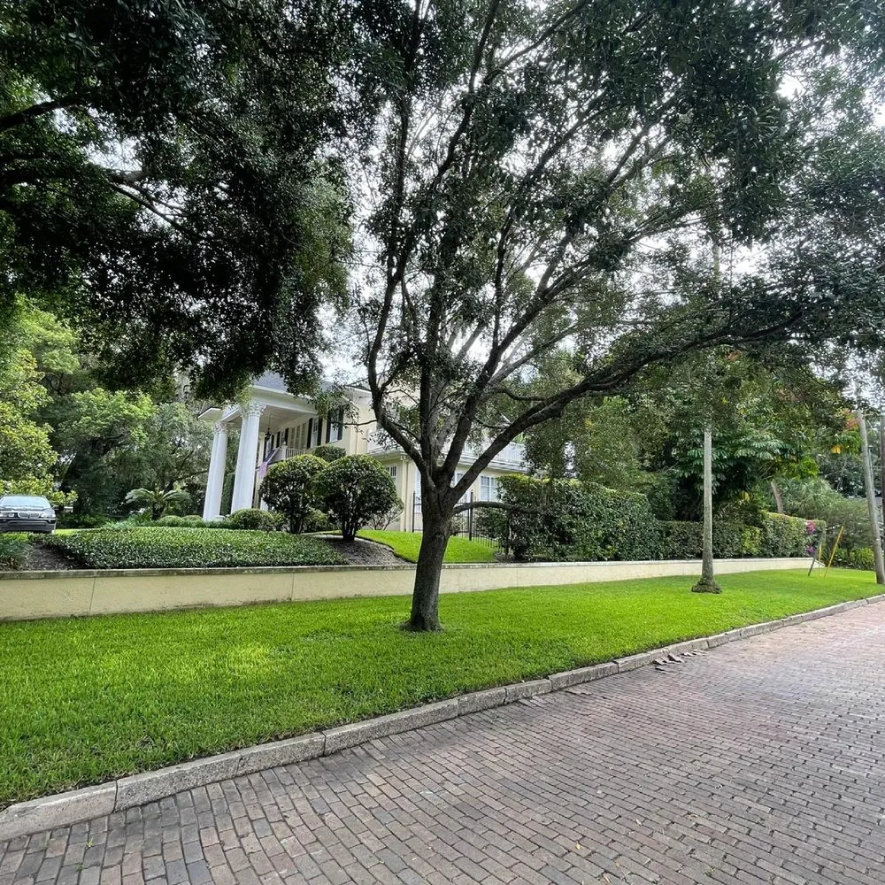 Custom landscaping services in Orlando, FL - Mow and Behold