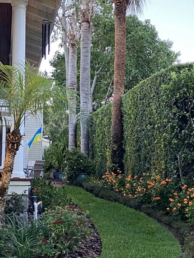 Custom landscaping services in Orlando, FL - Mow and Behold