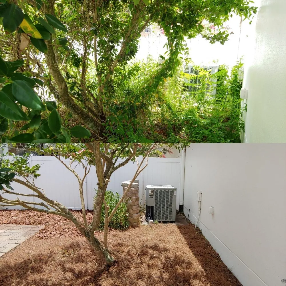 Custom residential landscaping experts serving Orlando, FL - Mow and Behold