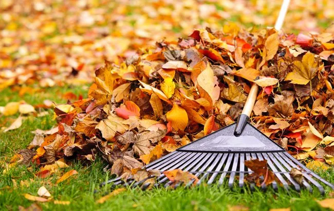 Local yard cleanup service in Waukesha, WI by Mow and Go Landscape