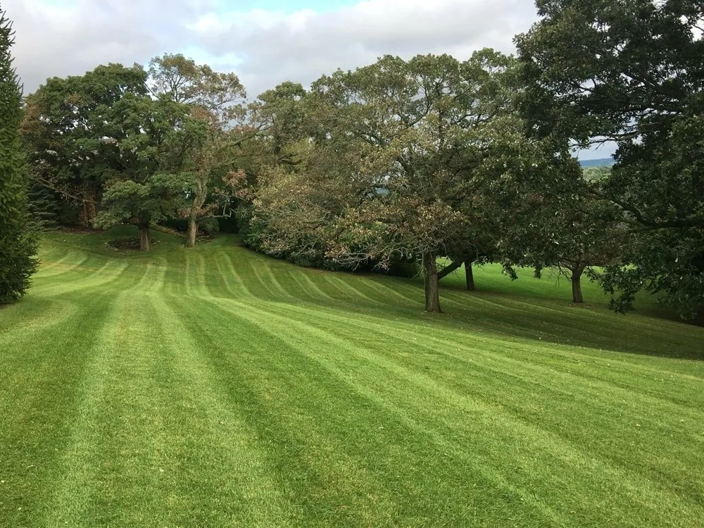 Trusted yard cleanup service experts serving Waukesha, WI - Mow and Go Landscape