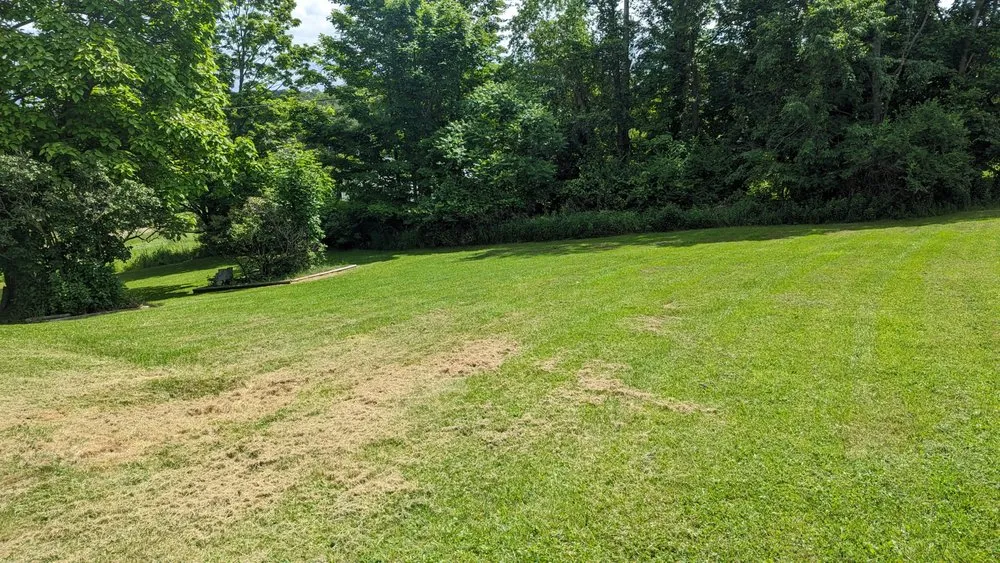 Top-rated landscaping services for outdoor upgrades in Bath, NY by Mow and Go Lawn Care