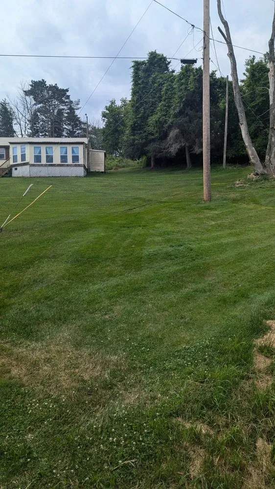 Custom yard maintenance in Bath, NY - Mow and Go Lawn Care